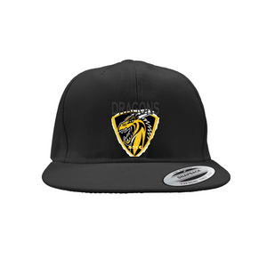 AACC DRAGONS Snapback Caps