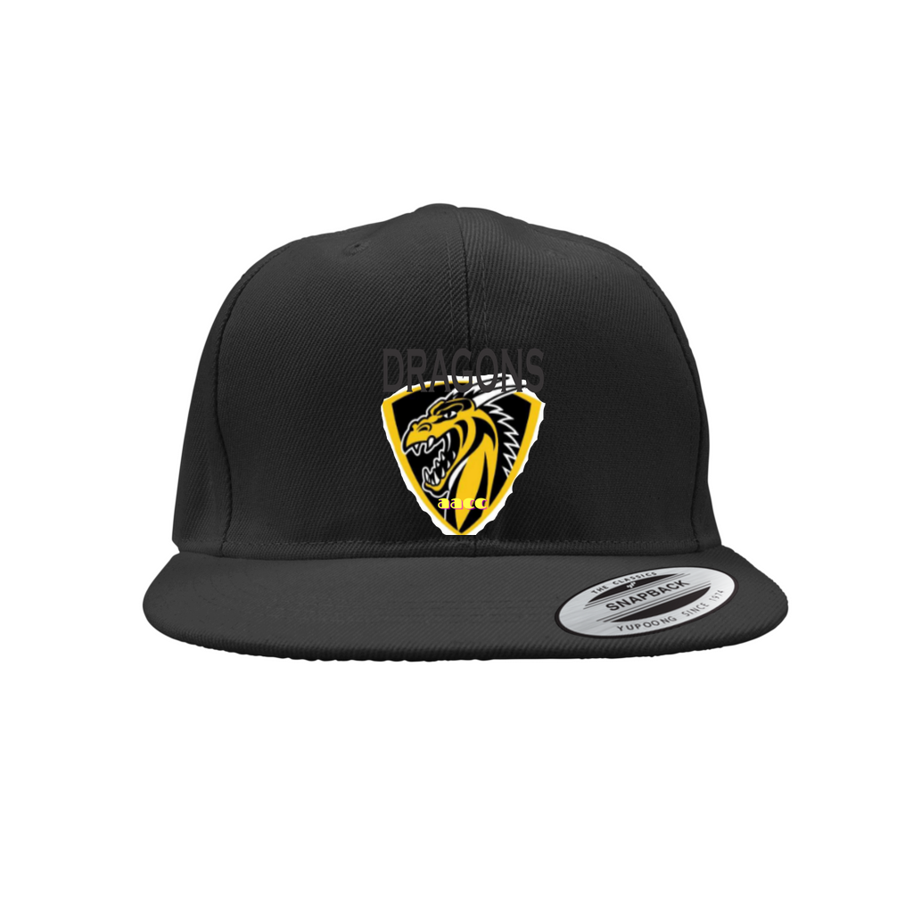 AACC DRAGONS Snapback Caps