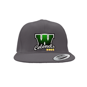 AACC Colonels Snapback Caps
