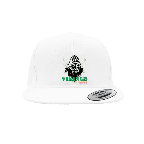 AACC Vikings Snapback Caps