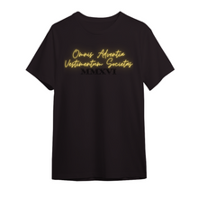 Load image into Gallery viewer, OAVS Est. Oversized T-Shirts