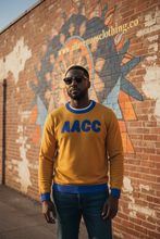 Load image into Gallery viewer, AACC Avenue Knit Sweater male lifestyle