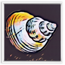 Load image into Gallery viewer, SEE Shell #2 Custom Art Framed Canvas Wraps