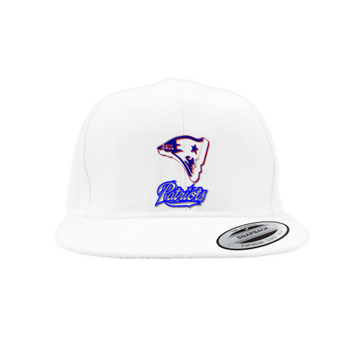 AACC PATS HAT Snapback Caps