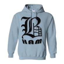 Load image into Gallery viewer, BHAM aacc Hoodies
