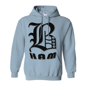 BHAM aacc Hoodies
