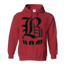 Load image into Gallery viewer, BHAM aacc Hoodies