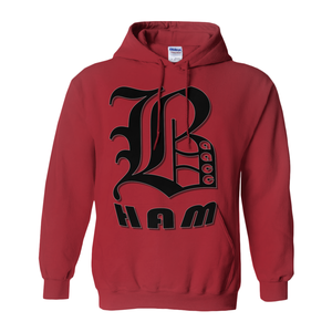 BHAM aacc Hoodies