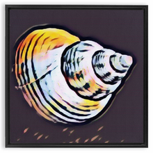 Load image into Gallery viewer, SEE Shell #2 Custom Art Framed Canvas Wraps
