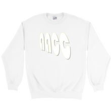 Load image into Gallery viewer, AACC RETRO  Sweatshirts