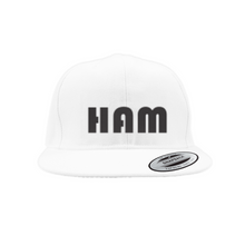 Load image into Gallery viewer, AACC HAM Snapback Caps