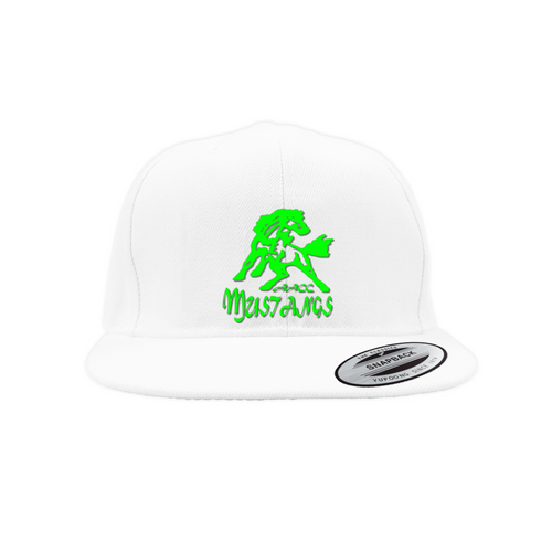 AACC Mustangs Snapback Caps