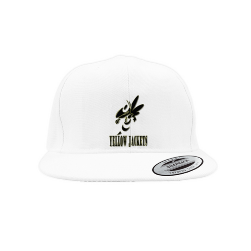 AACC Yellow Jackets Snapback Caps